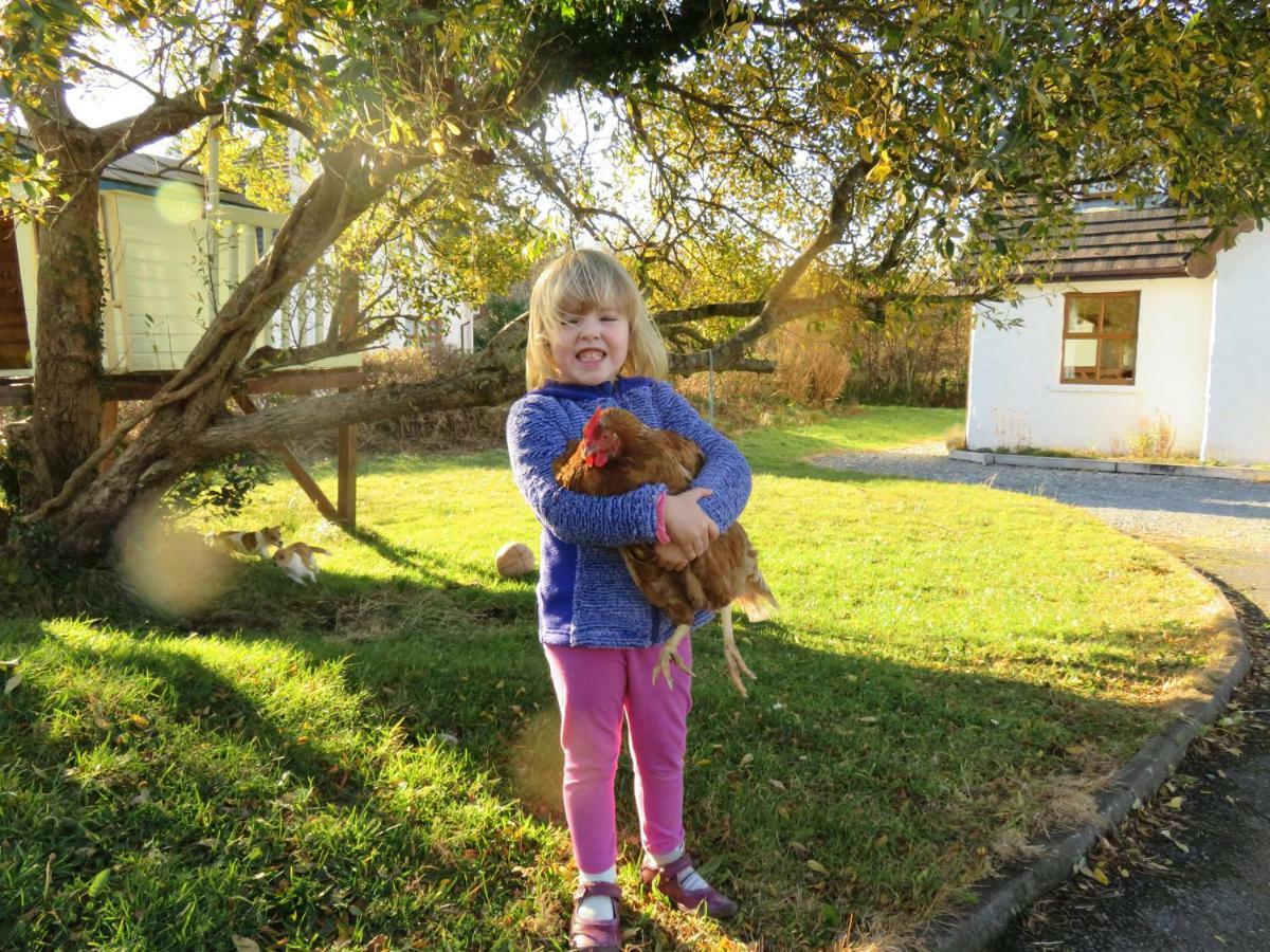 Heatherhill Farm Cottage In Letterfrack Beside Connemara National Park Экстерьер фото